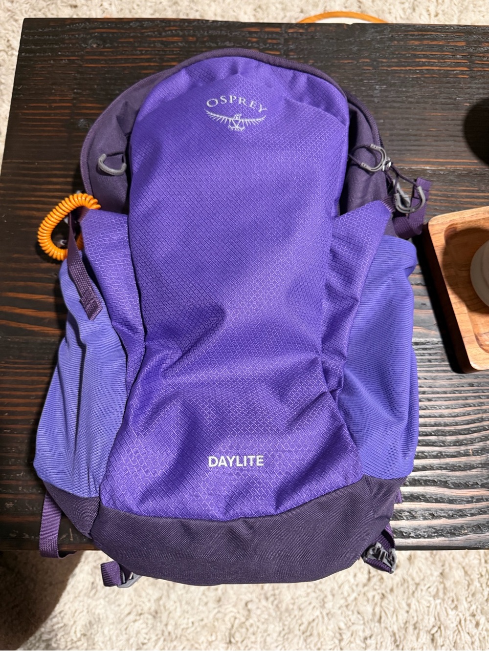 OSPREY Daylite Backpack in Bright Purple and Dark Purple